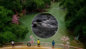 Sông Ngang Thanh Hóa đổi màu đen, bốc mùi hôi kéo dài 5km, chính quyền đề nghị công an vào cuộc xác minh nguyên nhân.