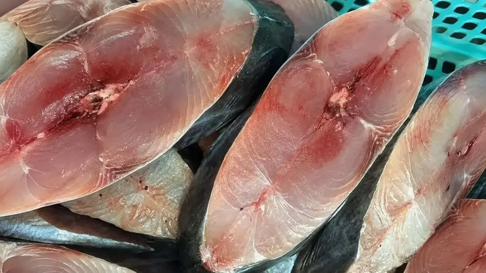 5 loại cá giá rẻ bổ ngang cá hồi, giàu dinh dưỡng, dễ mua ở chợ Việt. Xem ngay để chọn thực phẩm ngon, tiết kiệm cho gia đình.