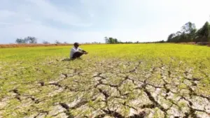 WMO cảnh báo El Nino tiếp tục mạnh lên, làm gia tăng nguy cơ nắng nóng, hạn hán và thời tiết cực đoan tại nhiều khu vực trên thế giới.