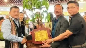 Củ sâm Ngọc Linh hơn 35 năm tuổi được đấu giá 725 triệu đồng, thu hút sự quan tâm nhờ giá trị đặc biệt của loại dược liệu quý.