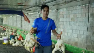Sau lũ, khoảng 60.000 con gà, vịt chết tại trang trại ở Thanh Hóa, chủ trại ước tính thiệt hại 7-10 tỷ đồng.