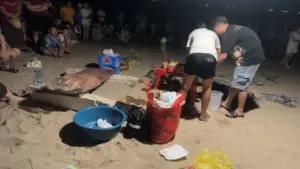 Bé trai 5 tuổi đuối nước tại biển Tiên Trang, Thanh Hóa. Thông tin vụ việc và địa điểm phát hiện nạn nhân.