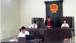 Phiên tòa xét xử bị cáo Trịnh Quốc Cơ về hành vi chém người gây thương tích và sử dụng trái phép vũ khí quân dụng.