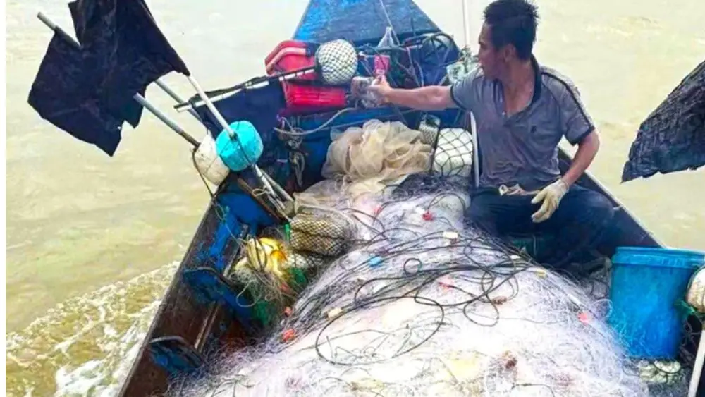 Ngư dân xã Yên Hòa, Hà Tĩnh trúng đậm cá chim vàng, thu về 10-20 triệu đồng sau mỗi chuyến ra khơi.