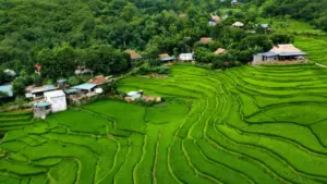 Những nhà sàn trăm tuổi ở bản Bút, Thanh Hóa được gìn giữ, cải tạo thành homestay, góp phần phát triển du lịch cộng đồng và tạo sinh kế.