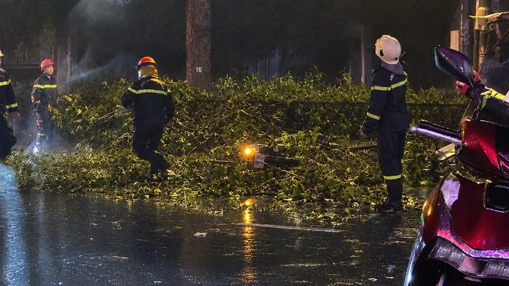 Nhánh cây lớn bất ngờ rơi trúng xe máy tại TPHCM khiến hai vợ chồng thương vong, lực lượng chức năng khẩn trương xử lý hiện trường.