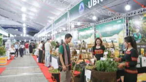 Phiên chợ Sâm Ngọc Linh và dược liệu diễn ra hằng tháng tại Đà Nẵng, góp phần quảng bá sản vật quê nhà đến người dân và du khách