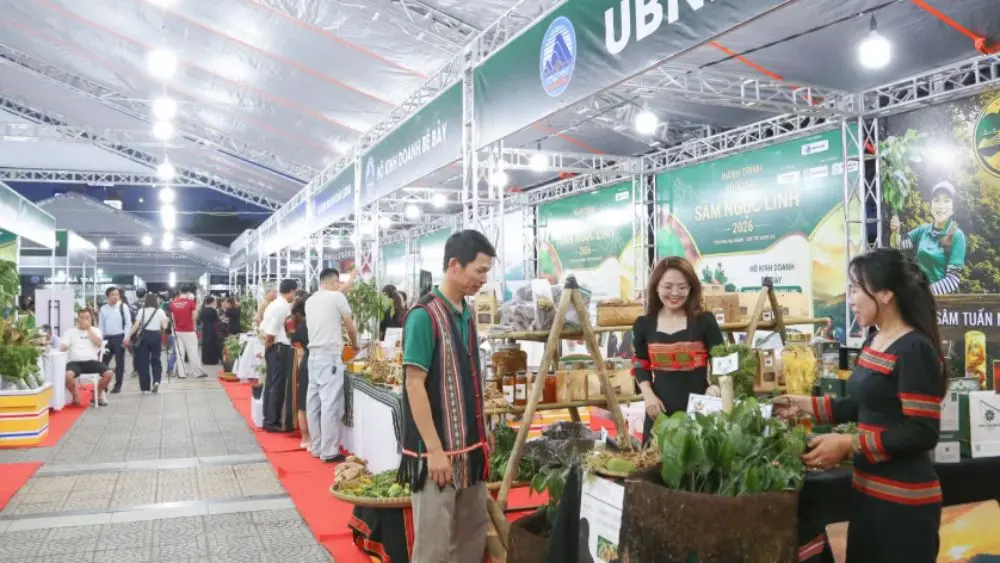 Phiên chợ Sâm Ngọc Linh và dược liệu diễn ra hằng tháng tại Đà Nẵng, góp phần quảng bá sản vật quê nhà đến người dân và du khách