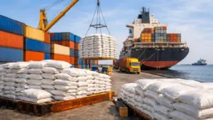 Siết điều kiện xuất khẩu, kiểm soát kế hoạch nhập khẩu gạo. Cập nhật quy định mới ngay!