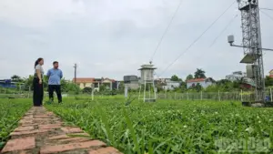 Thanh Hóa ứng phó với sóng cả, mưa lớn. Cập nhật công tác chuẩn bị ngay!