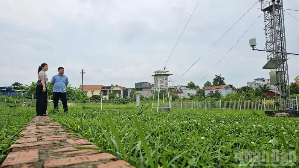 Thanh Hóa ứng phó với sóng cả, mưa lớn. Cập nhật công tác chuẩn bị ngay!