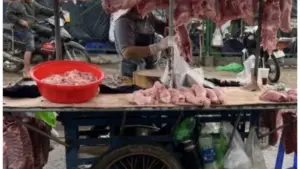Thịt lợn và trái cây Việt lép vế trước hàng nhập khẩu giá rẻ, khiến người chăn nuôi, nhà vườn đối mặt nguy cơ thua lỗ, bỏ nghề.