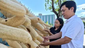 Vợ chồng anh Lê Nhất Vũ biến xơ mướp già thành hơn 20 sản phẩm gia dụng, xuất khẩu sang Mỹ, Hàn Quốc, Australia và Canada.