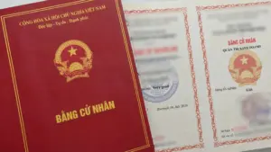 1,6 triệu thanh niên "3 không": Do cầm bằng giỏi cũng khó xin việc? Phân tích ngay!