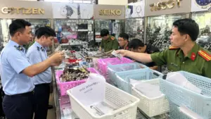 Chủ cửa hàng bày bán hơn 2.000 đồng hồ giả mạo 10 thương hiệu nổi tiếng, có cả Rolex. Chi tiết ngay!