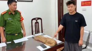 Giả gái, rủ hẹn hò với nam giới để nẫng tài sản. Chi tiết ngay!