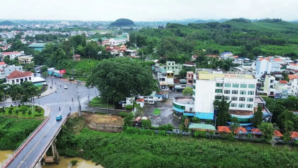 Giữ cây đa trăm tuổi, giải tỏa khách sạn để làm cầu 2.200 tỷ đồng. Chi tiết dự án ngay!