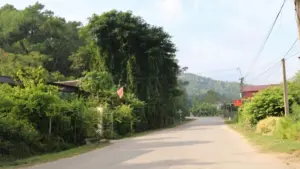 Thanh Hóa khắc phục tình trạng rác thải sinh hoạt ùn ứ tại xã Xuân Du, các tuyến đường được thu gom rác, sạch sẽ trở lại.