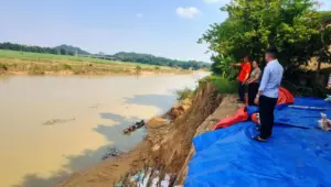 Thanh Hóa lo ngại sạt lở bờ sông Chu tại xã Lam Sơn, khiến người dân bất an trước nguy cơ ảnh hưởng đến khu dân cư.
