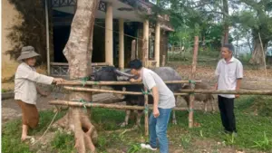 Thanh Hóa kiến nghị tháo gỡ vướng mắc về chế độ, phụ cấp cho viên chức tại Trung tâm Cung ứng dịch vụ công cấp xã.