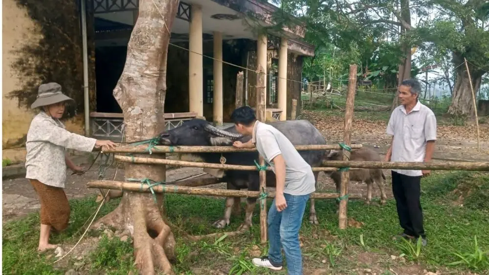Thanh Hóa kiến nghị tháo gỡ vướng mắc về chế độ, phụ cấp cho viên chức tại Trung tâm Cung ứng dịch vụ công cấp xã.