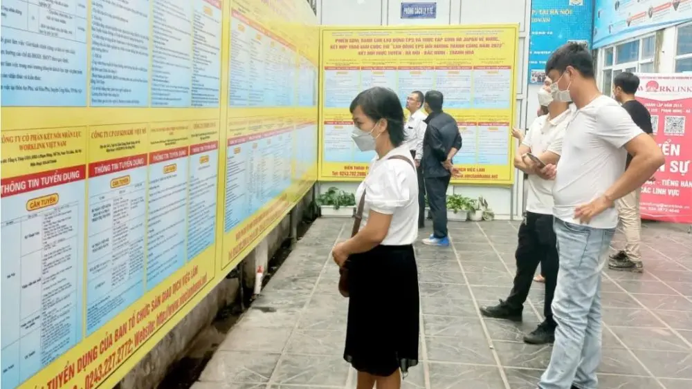 Khoảng 1,6 triệu thanh niên 15-24 tuổi không việc làm, không học tập, đào tạo trong quý III/2026, đặt ra yêu cầu tăng hỗ trợ việc làm.
