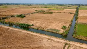 Dự báo xâm nhập mặn mùa khô đến sớm và vào sâu tại miền Tây, đe dọa hàng chục nghìn ha lúa đông xuân.