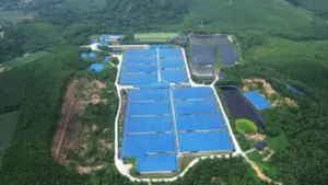 Thanh Hóa xử phạt 4 trang trại chăn nuôi lợn vi phạm môi trường với tổng số tiền 445 triệu đồng, trong đó Công ty Như Xuân bị phạt 271 triệu đồng.