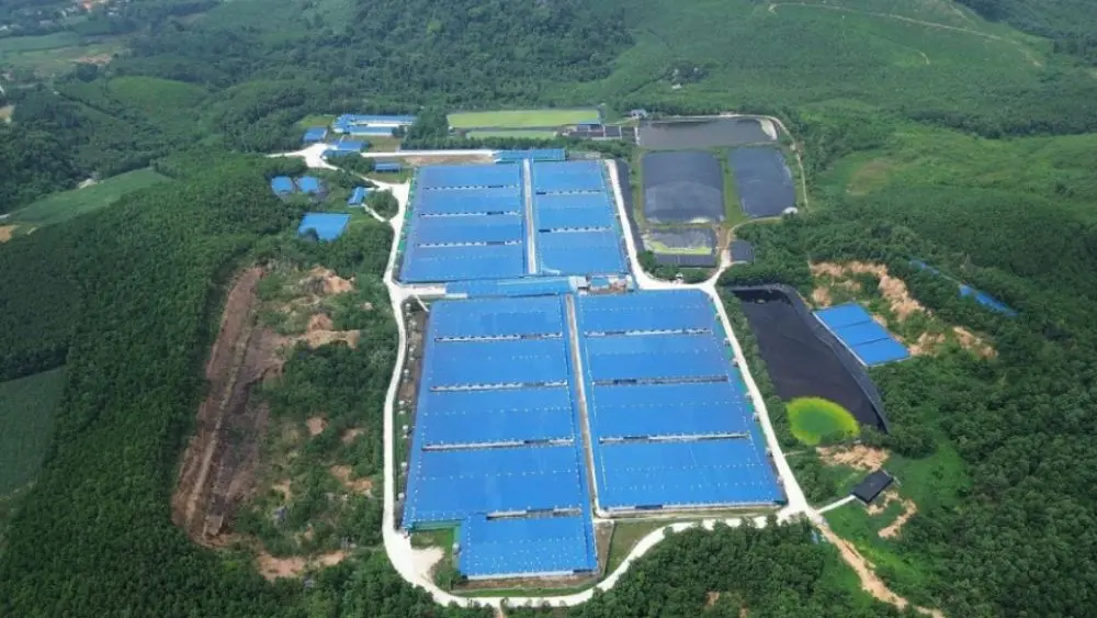 Thanh Hóa xử phạt 4 trang trại chăn nuôi lợn vi phạm môi trường với tổng số tiền 445 triệu đồng, trong đó Công ty Như Xuân bị phạt 271 triệu đồng.