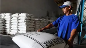 Trung Quốc mua hơn 1 triệu tấn gạo Việt Nam trong 8 tháng, vươn lên thành thị trường xuất khẩu lớn thứ hai, mở ra dư địa tăng trưởng đáng chú ý.
